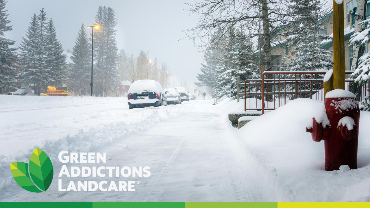 Snow Removal